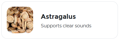 Astragalus