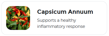 Capsicum Annuum
