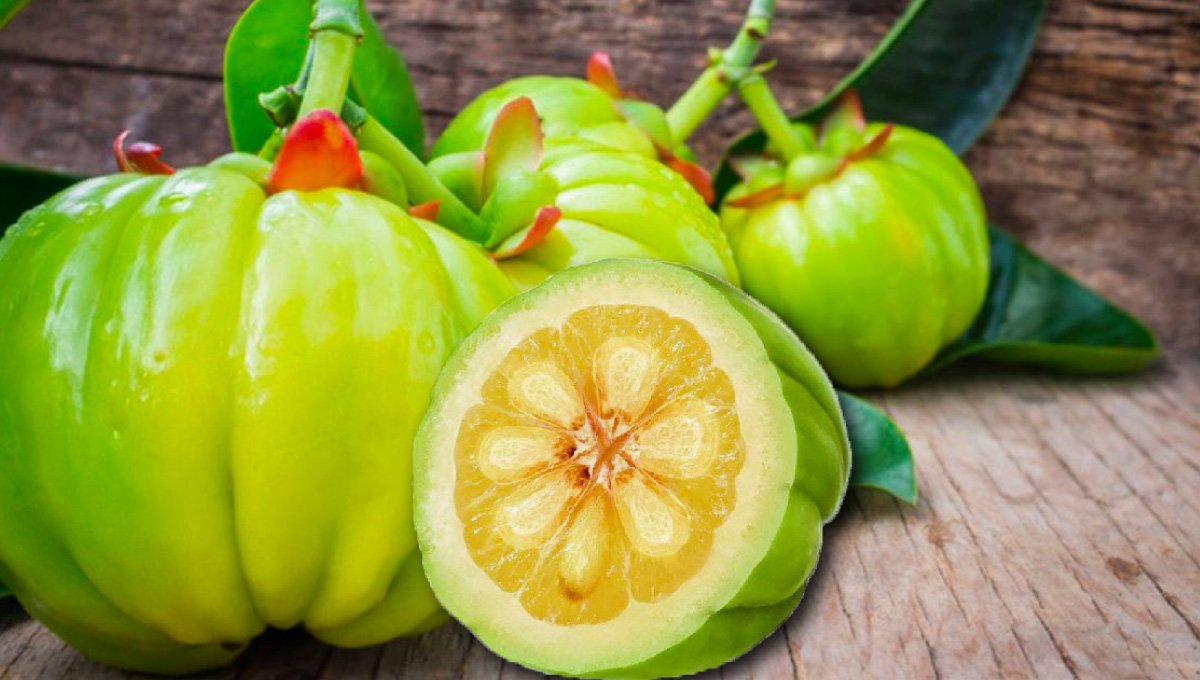 Garcinia-integratore-per-metabolismo