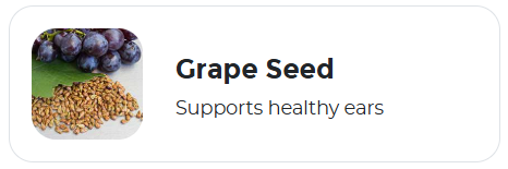 Grape Seed