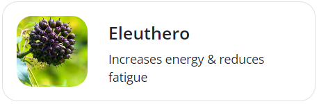 Eleuthero