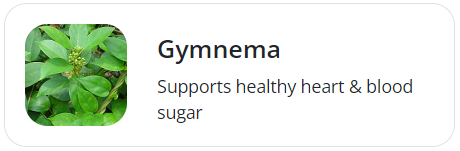 gymnema