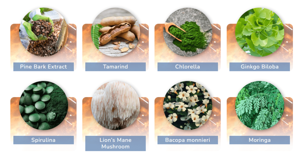 Pineal-Pure-Ingredients-1024x517