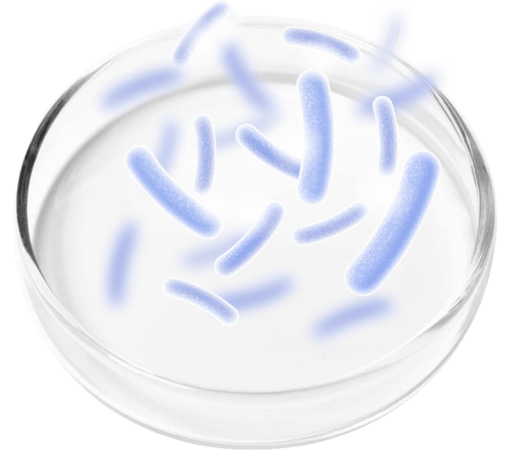 Probiotic Blend