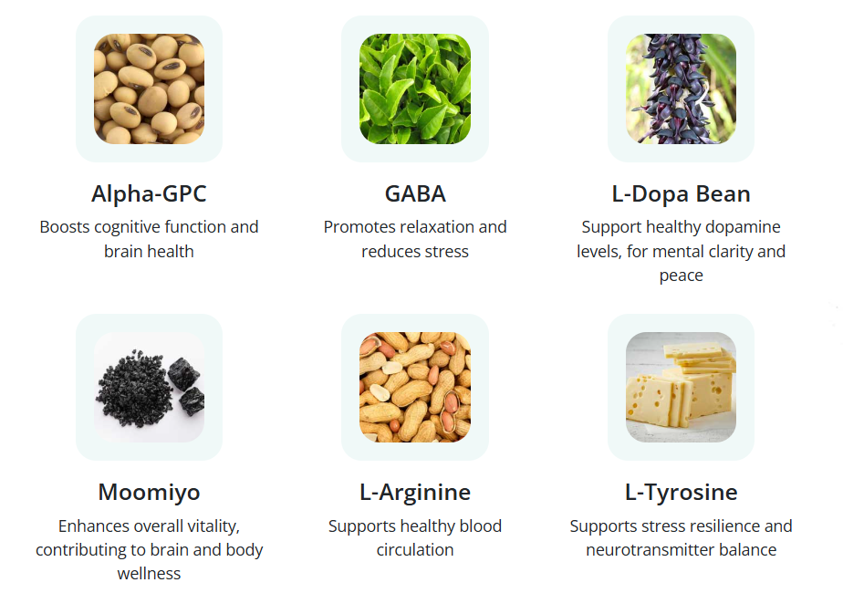 ingredients NeuroQuiet